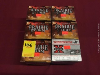 (6) Assorted 20 x 3 6 And 2 Shot Boxes