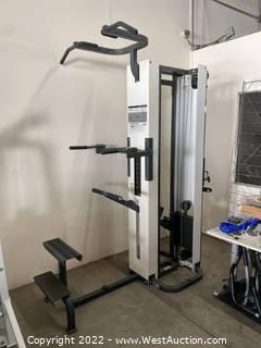Cybex Assisted Chin-Up/Dip Machine with Rear Cable Column