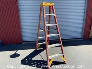 Werner 6’ Fiberglass 300 Lb Capacity Ladder