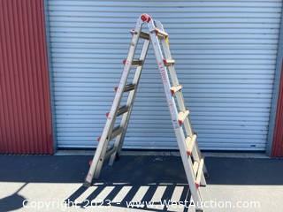 Little Giant Adjustable Height Folding/Extension Ladder