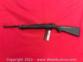 Ruger 10/22 Air rifle 
