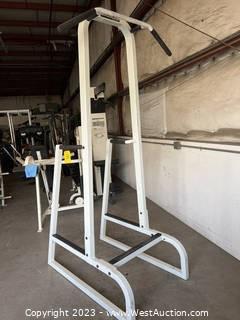 Maxicam Dip & Pull Up Station